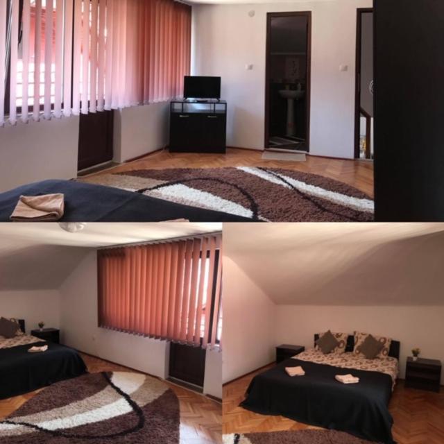 Kral Villa Szováta Kültér fotó